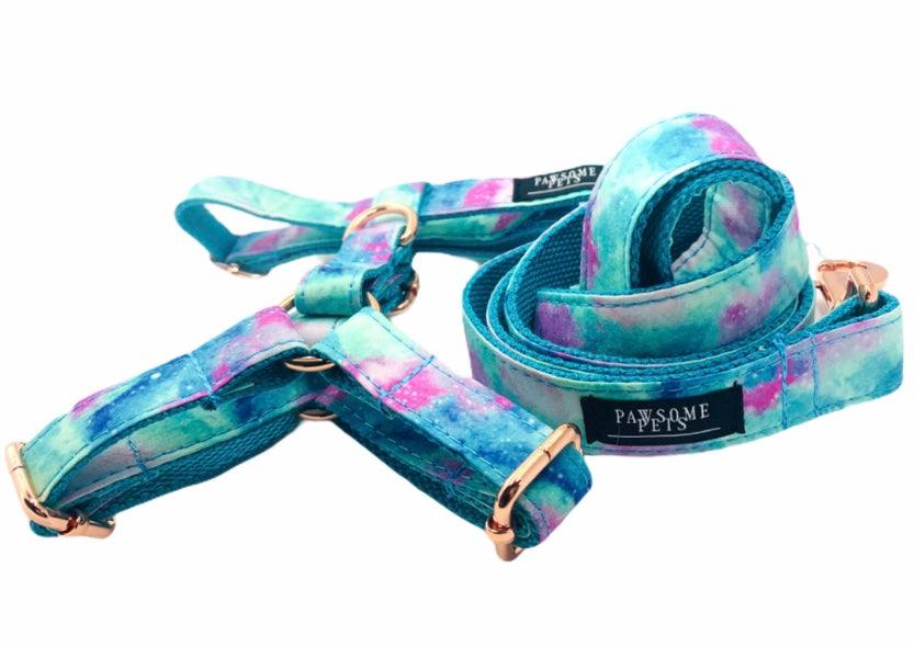 Dog Step-In Harness & Accessories Bundle – Collar, Leash & More – Sky Blue (2 Pieces)