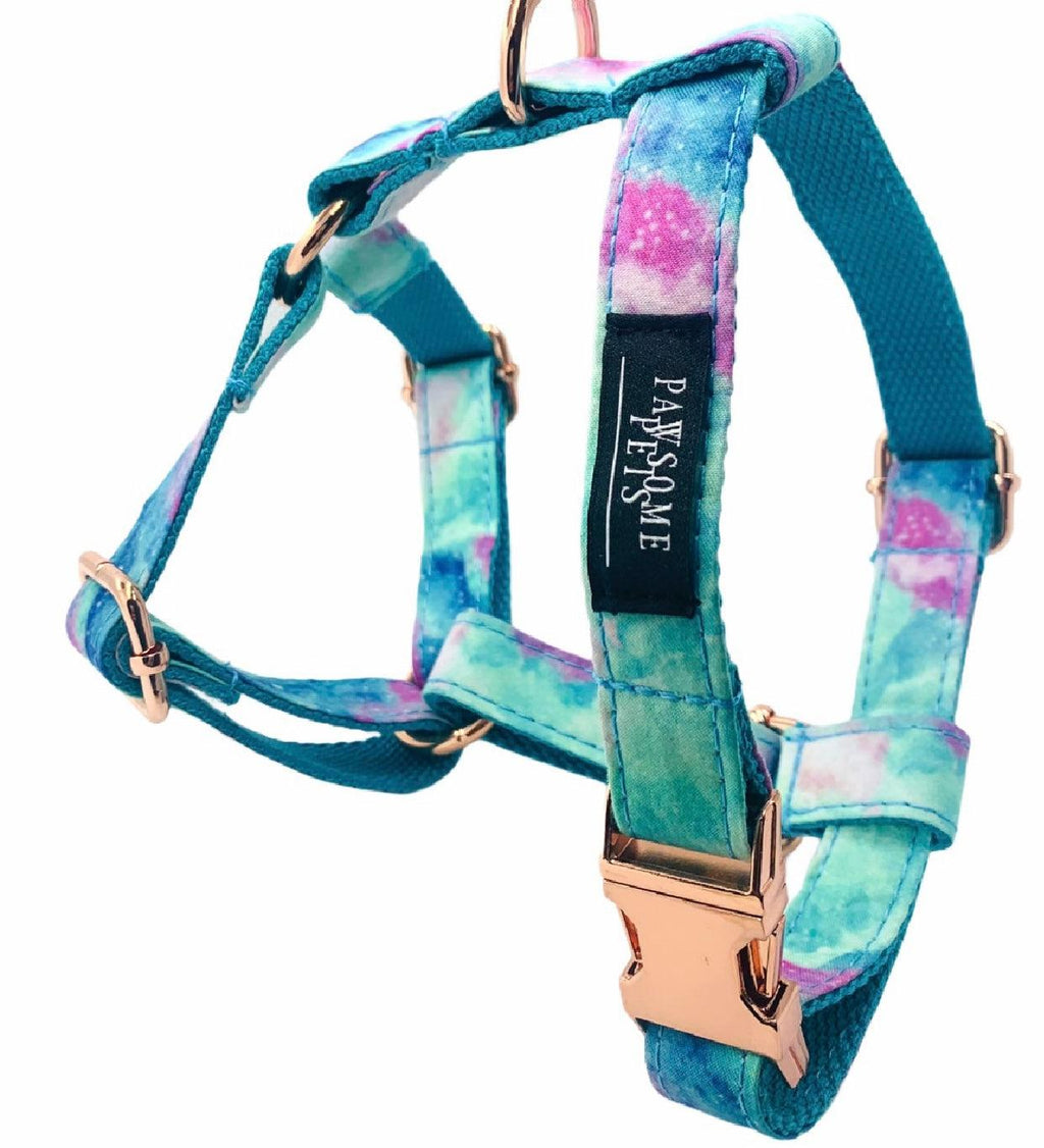 Dog Step-In Harness & Accessories Bundle – Collar, Leash & More – Sky Blue (2 Pieces)