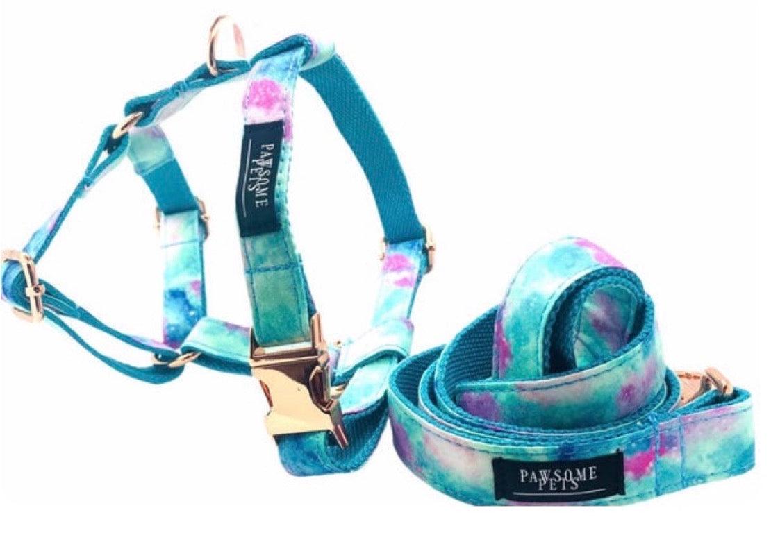 Dog Step-In Harness & Accessories Bundle – Collar, Leash & More – Sky Blue (2 Pieces)