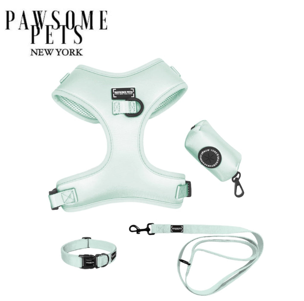 Pet Starter Bundle – Harness, Collar, Lead, Poop Bag Holder & Bowtie – Mint Green