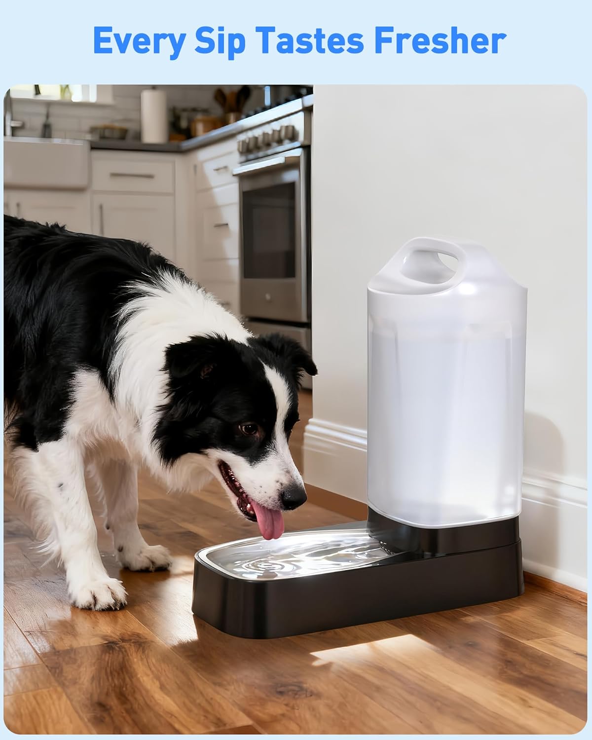 4 Pack Gravity Dog Water Dispenser Filters Replacement